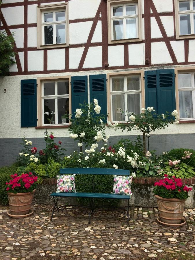 Altes Winzerhaus Lenz Apartamento Pünderich Exterior foto